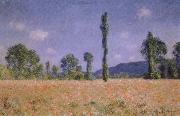 Claude Monet Poppy Field oil